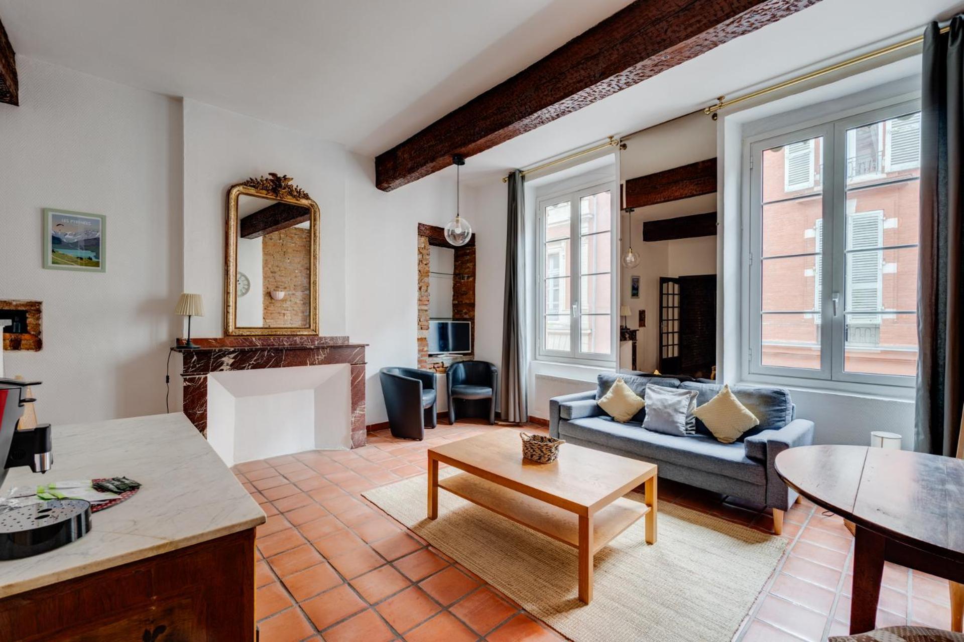 Apartment Brique Du Capitole - Hypercentre Toulouse